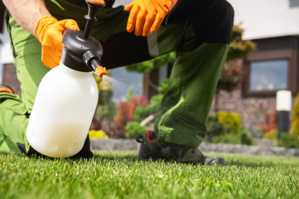 Best Residential Pest Control  in Fort Valley, AZ